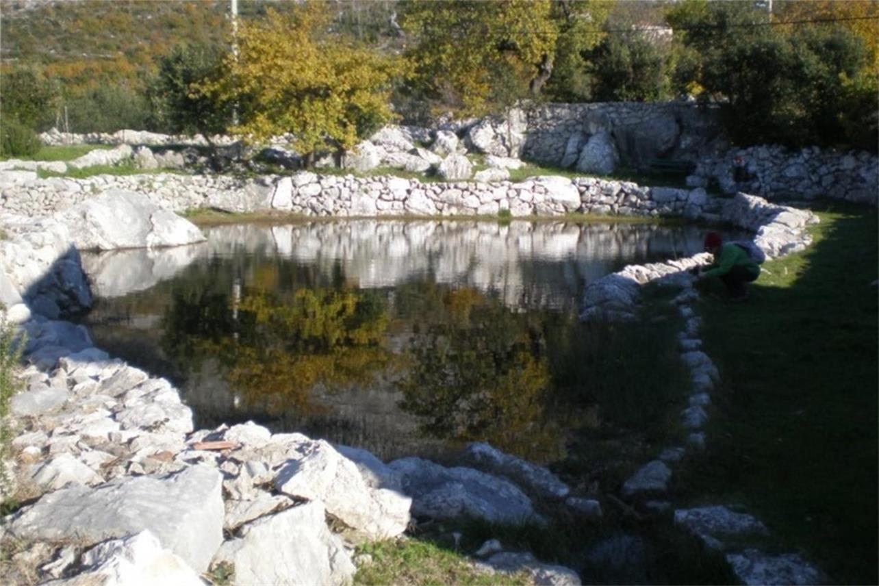 Lokve u Majkovima proglašene prvim herpetološkim rezervatom u Hrvatskoj