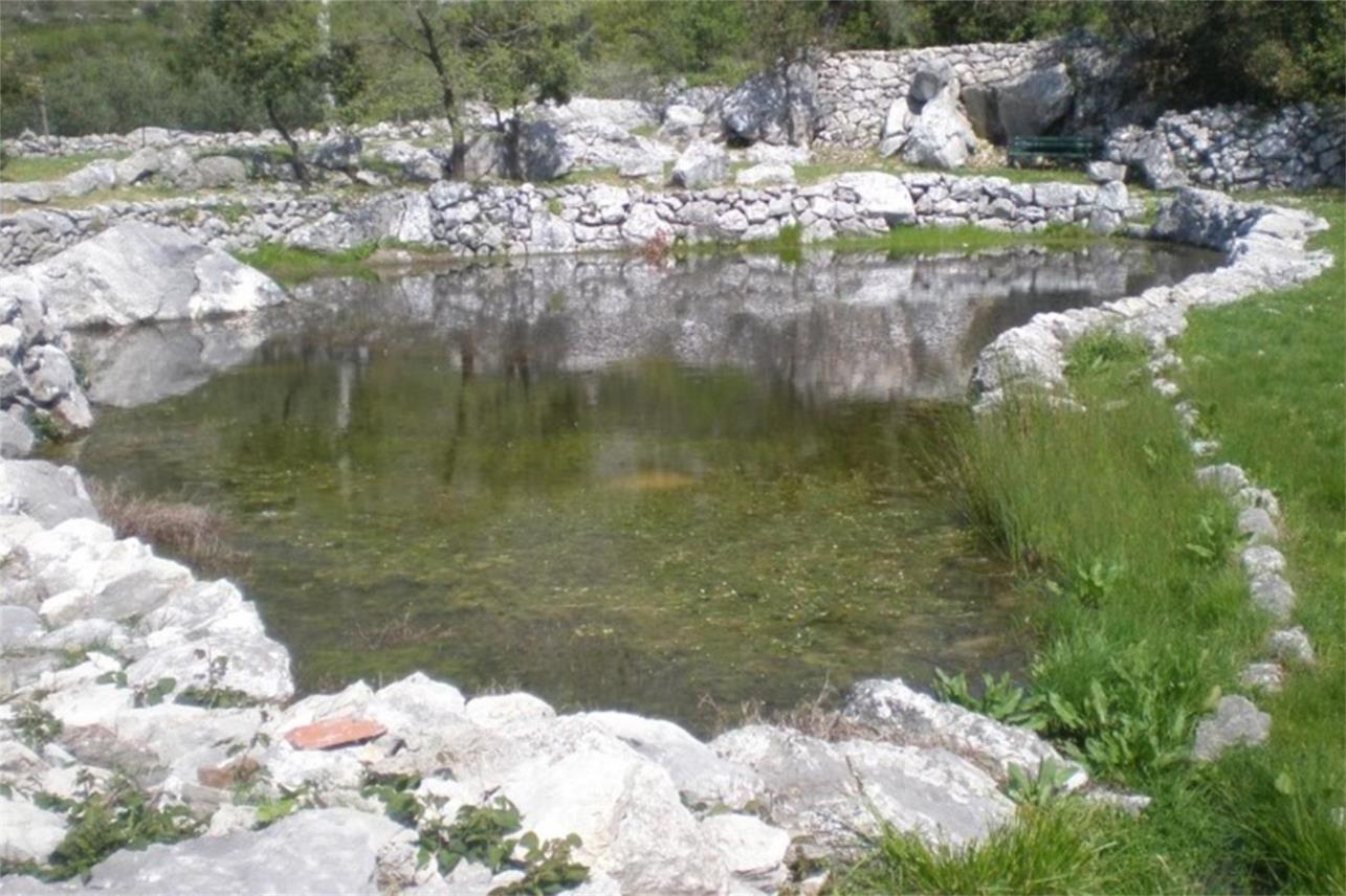 Lokve u Majkovima proglašene prvim herpetološkim rezervatom u Hrvatskoj