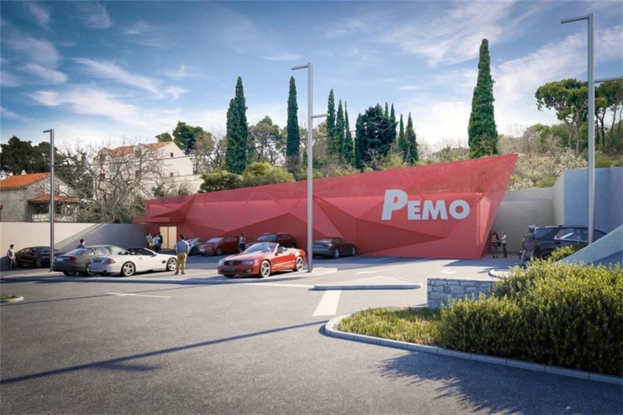 PEMO U MIŠIĆIMA: Stucija slučaja