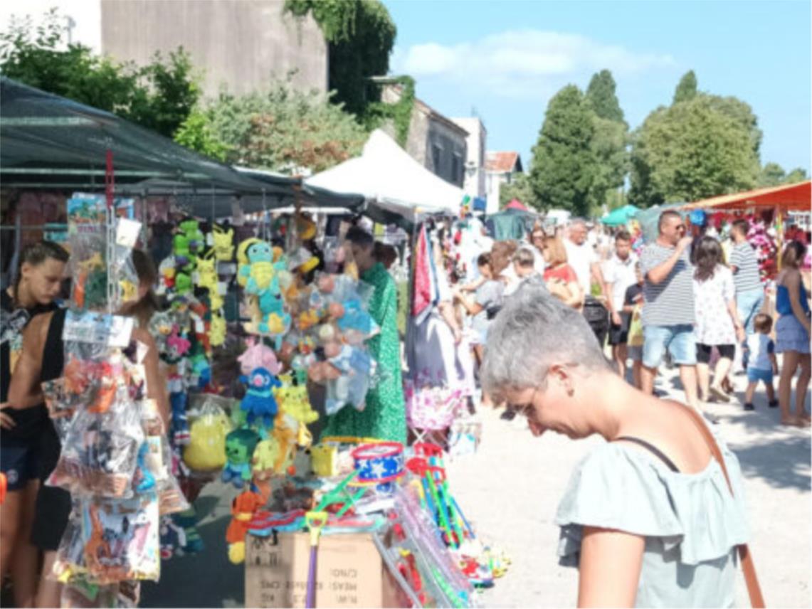 Izvješće o visini troškova izbora i načinu njihova korištenja