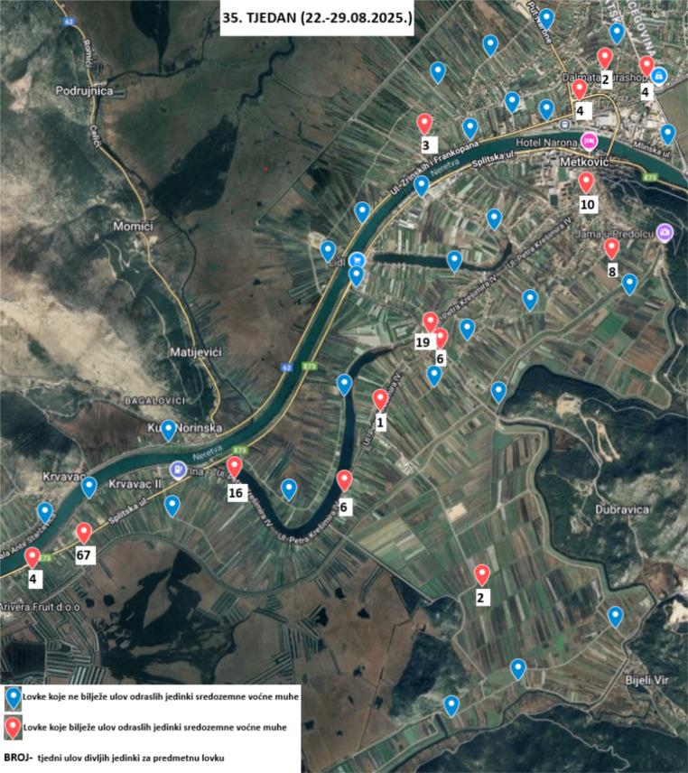 Preporuke za tretiranje i prskanje agruma u Metkoviću