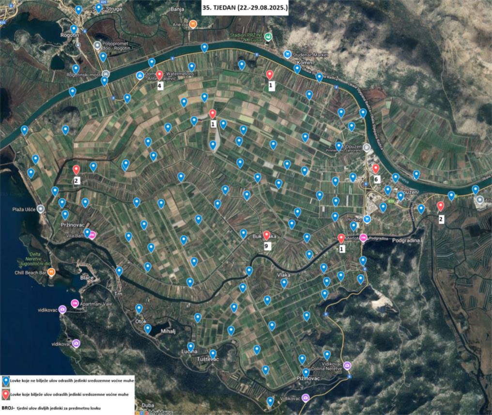 Preporuke za tretiranje i prskanje agruma u Metkoviću