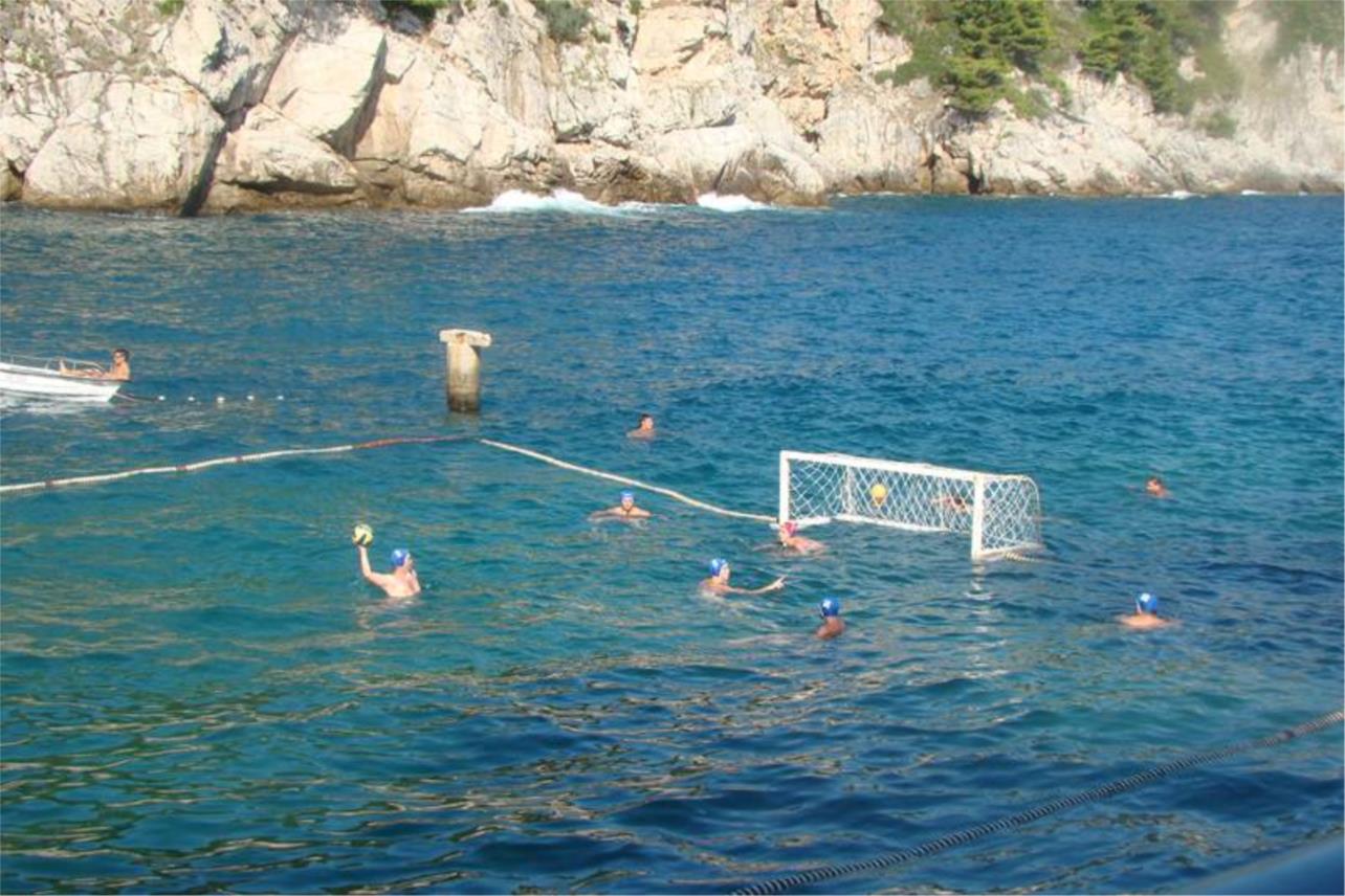 Divlja Liga na Bellevueu