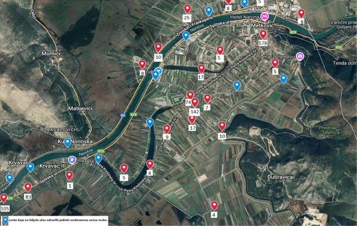 Obavijest o ulovima sredozemne voćne muhe na području doline rijeke Neretve