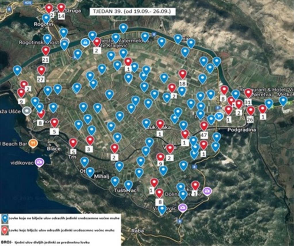Obavijest o ulovima sredozemne voćne muhe na području doline rijeke Neretve