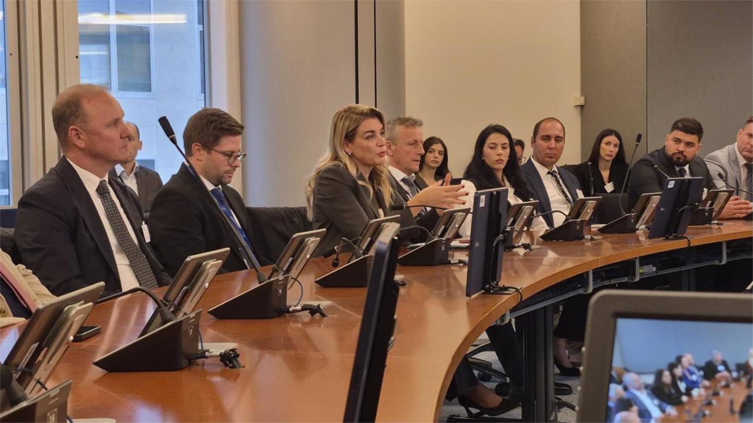 Dubrovačko-neretvanska županija na sastanku s Nikolinom Brnjac