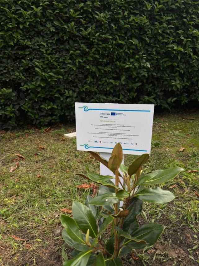 U Metkoviću održani partnerski sastanci projekta TETHYS4ADRION: prekogranična suradnja u borbi protiv plastičnog onečišćenja rijeka U Metkoviću održani partnerski sastanci projekta TETHYS4ADRION: prekogranična suradnja u borbi protiv plastičnog onečišćenja rijeka