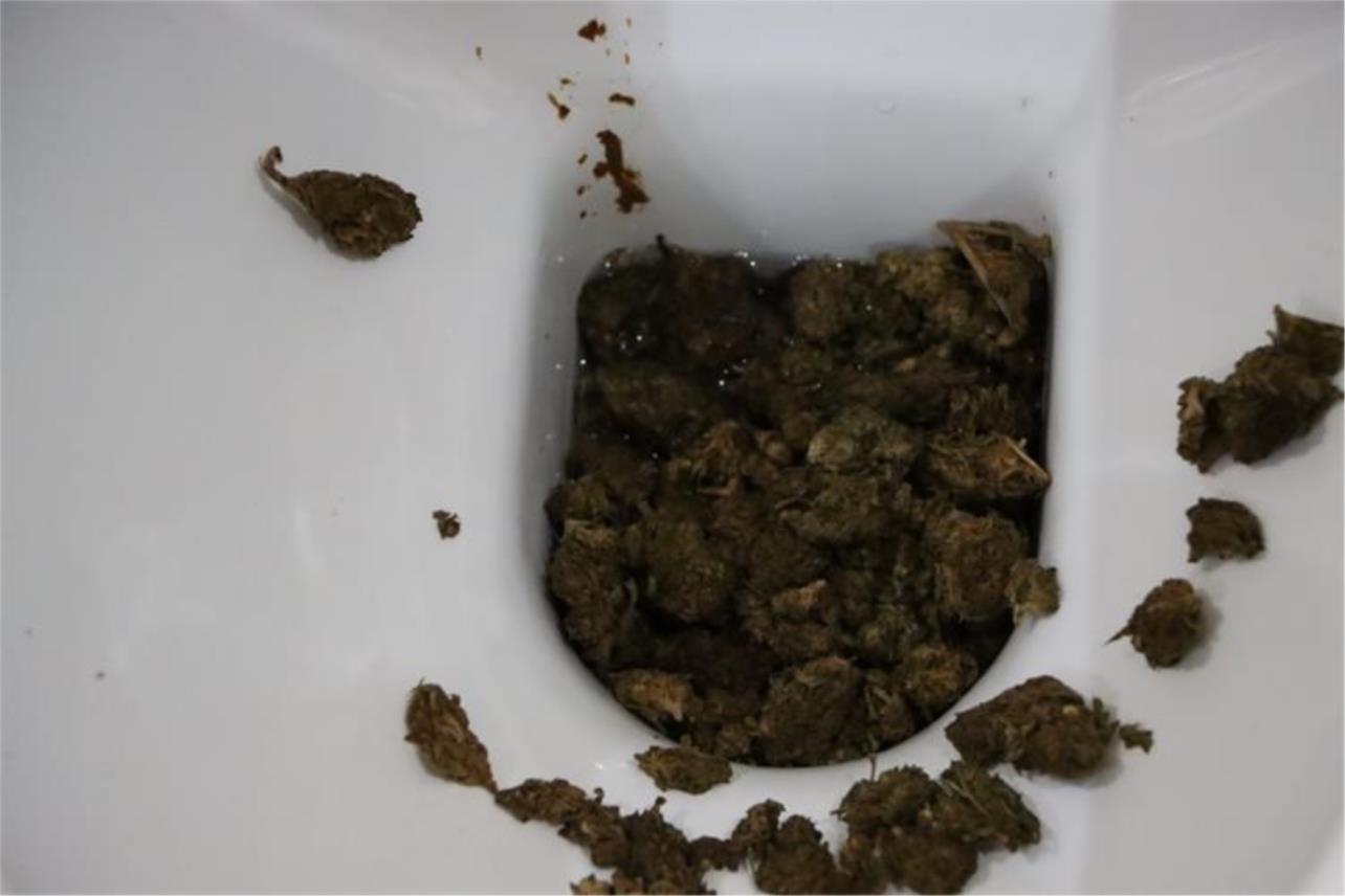 Dubrovačka policija otkrila drogu i novac u pretrazi stana