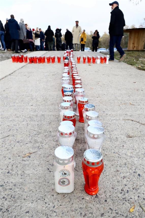 Obilježeno stradanje Borova naselja u Domovinskom ratu