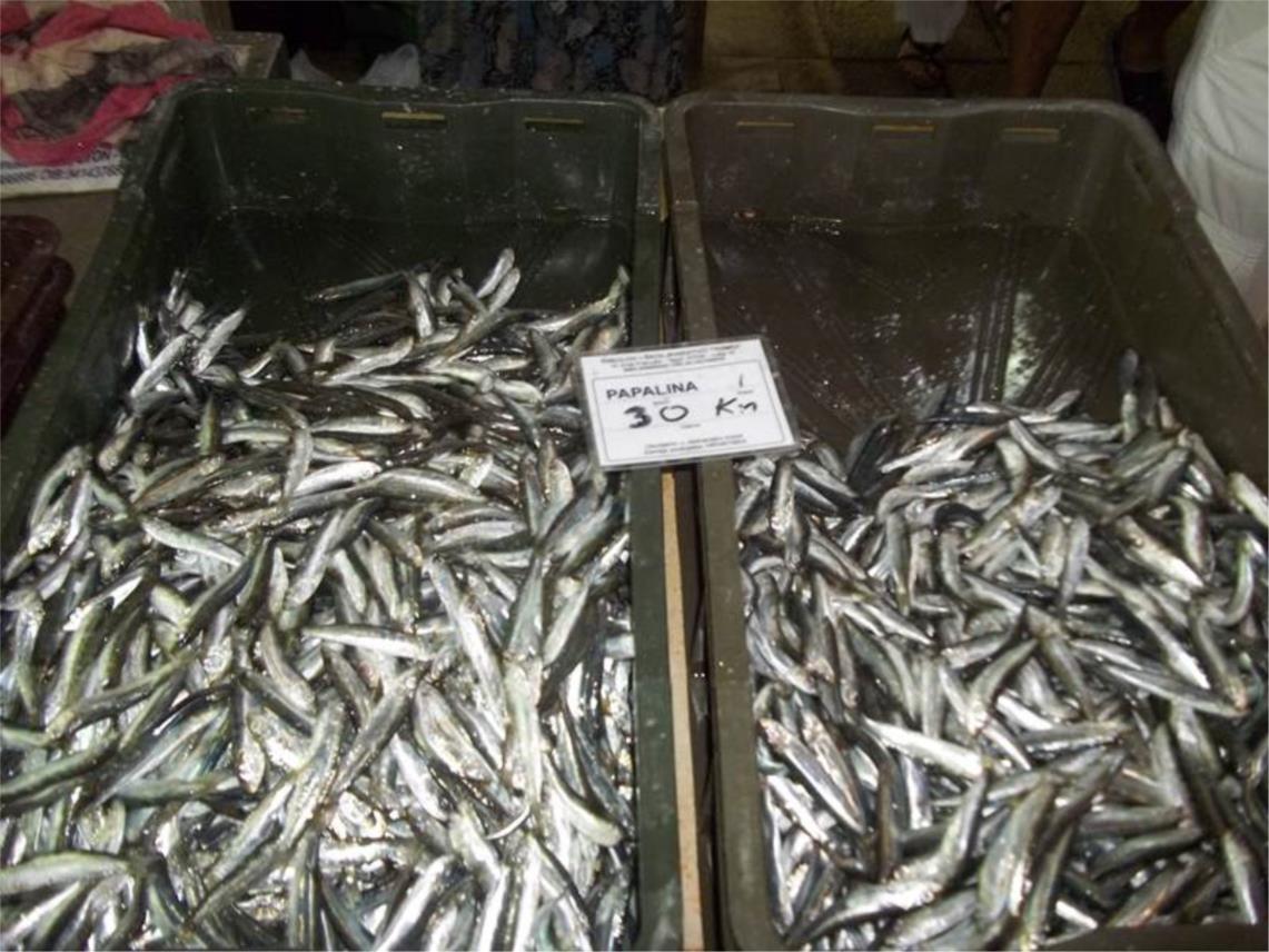 Ribarnica