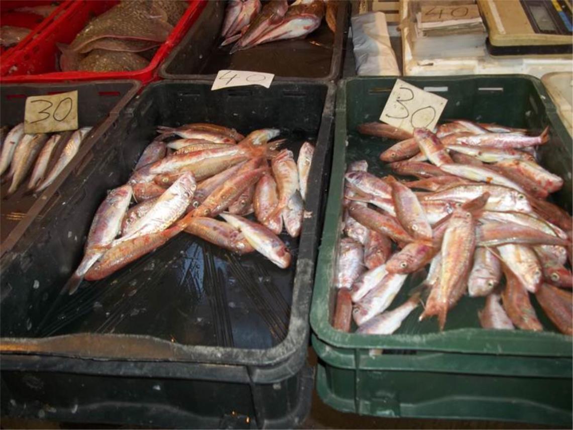 Ribarnica