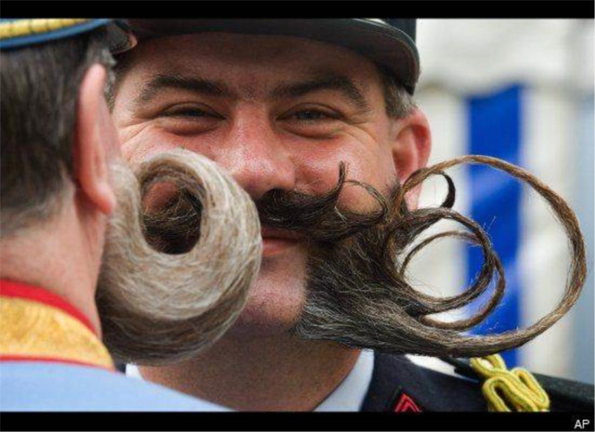 austria_brade_5.jpg