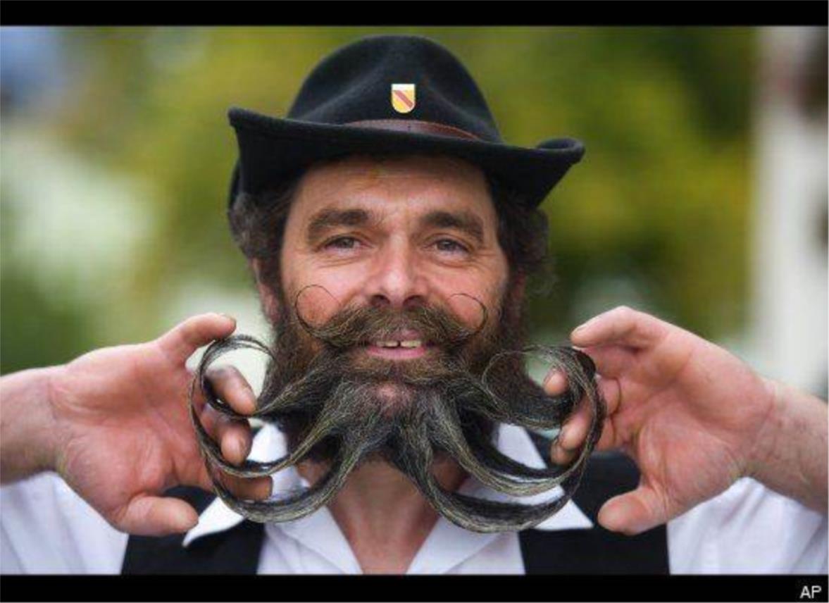 austria_brade_6.jpg