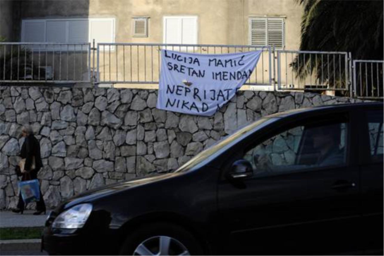 Mamic_Transparent