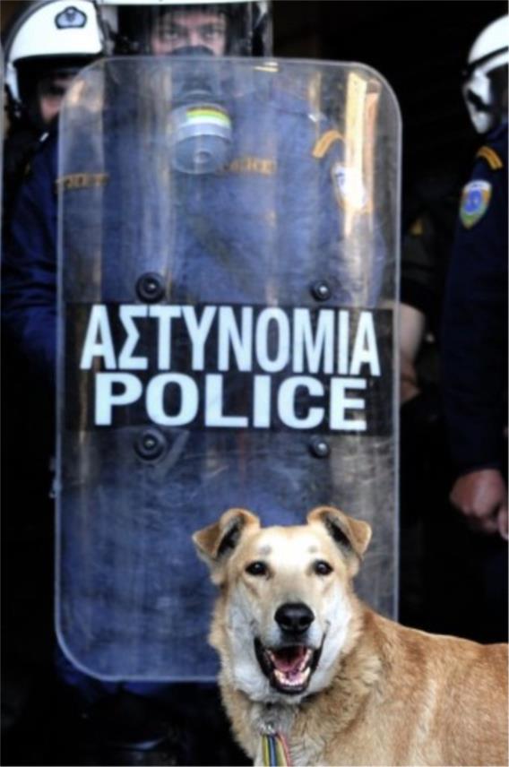 Žućo