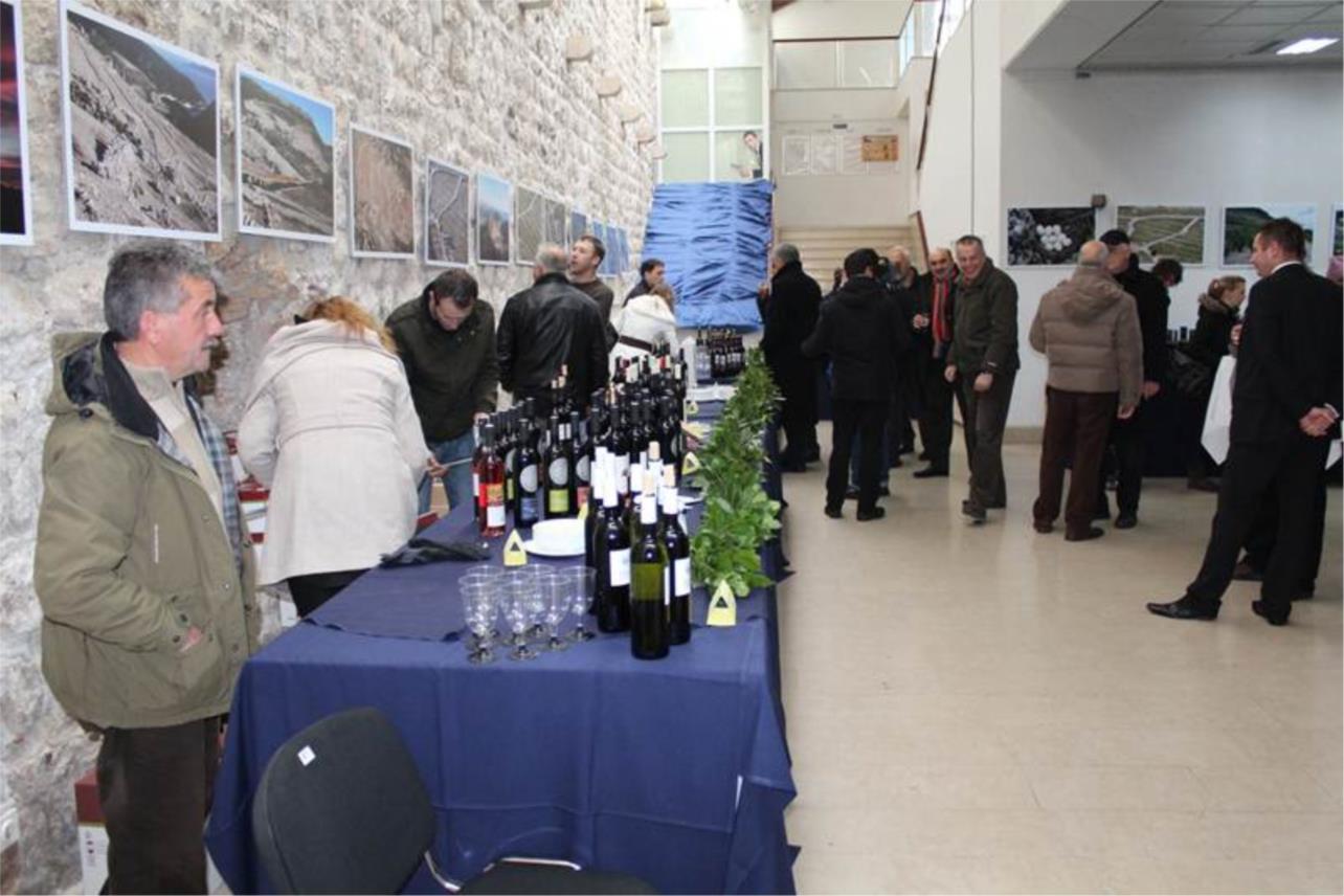 Festa od vina 02022012