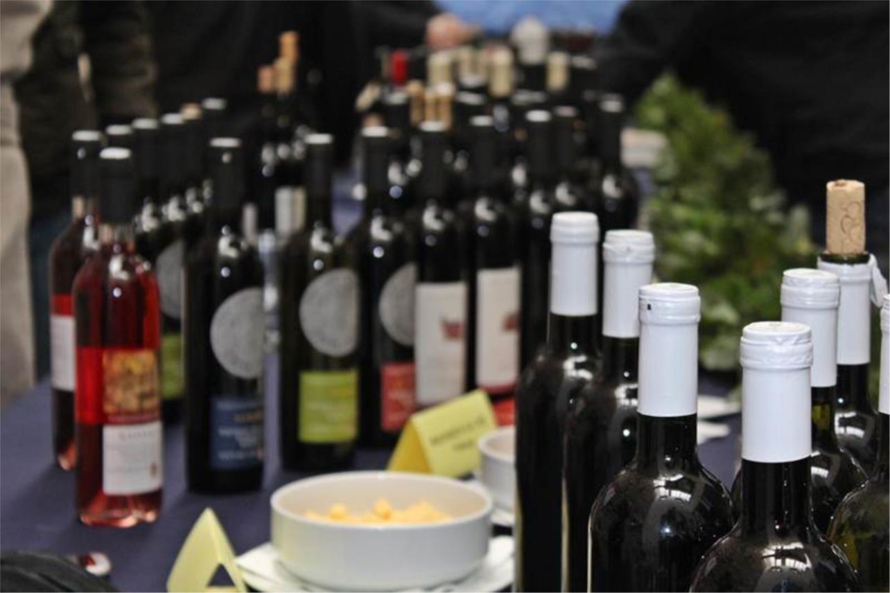 Festa od vina 02022012