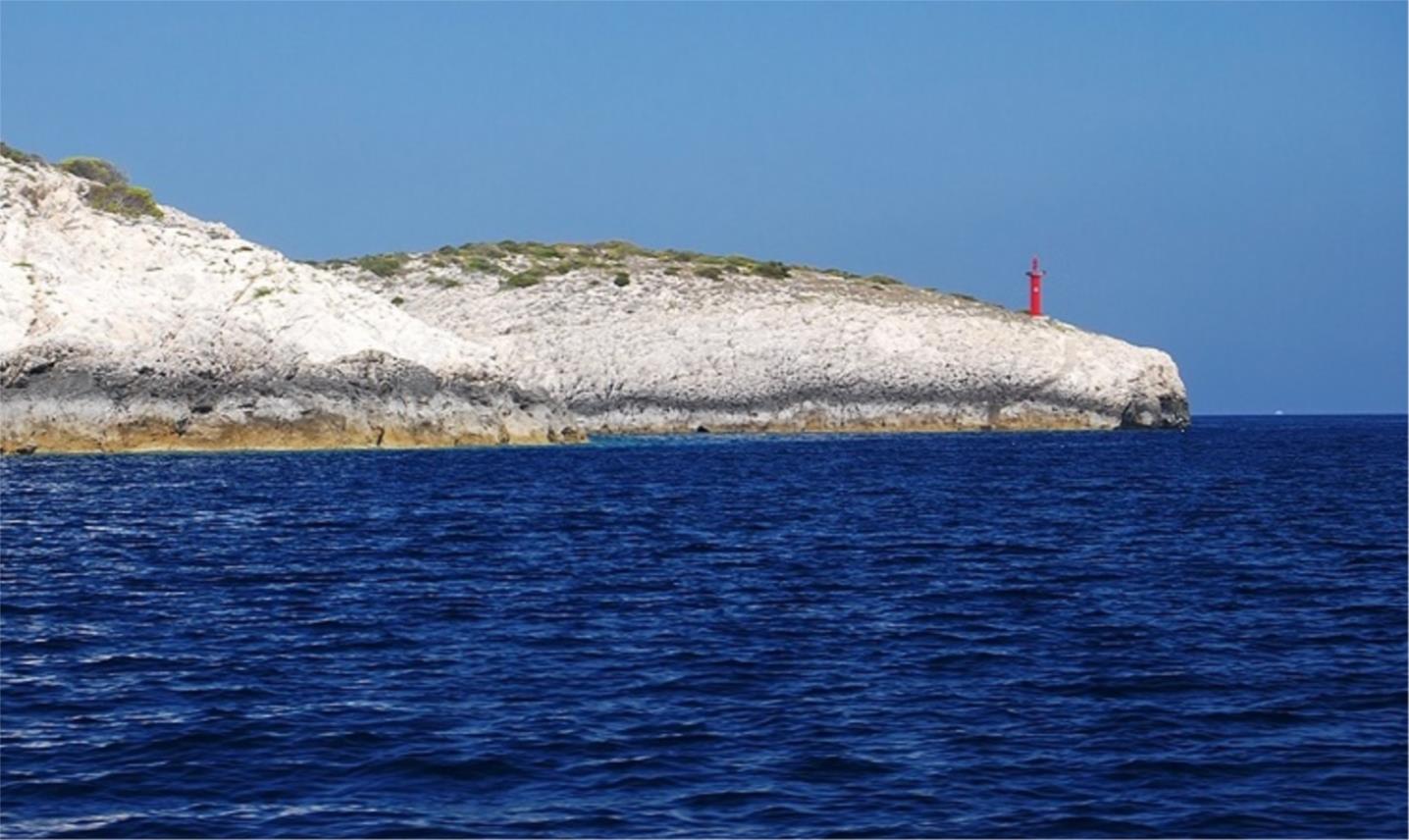 Vis
