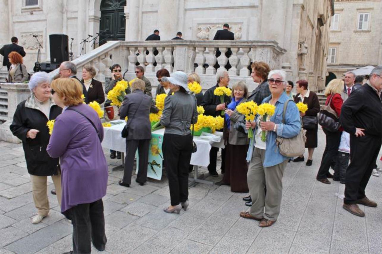 Stradun u znaku narcisa i kamenica 24032012