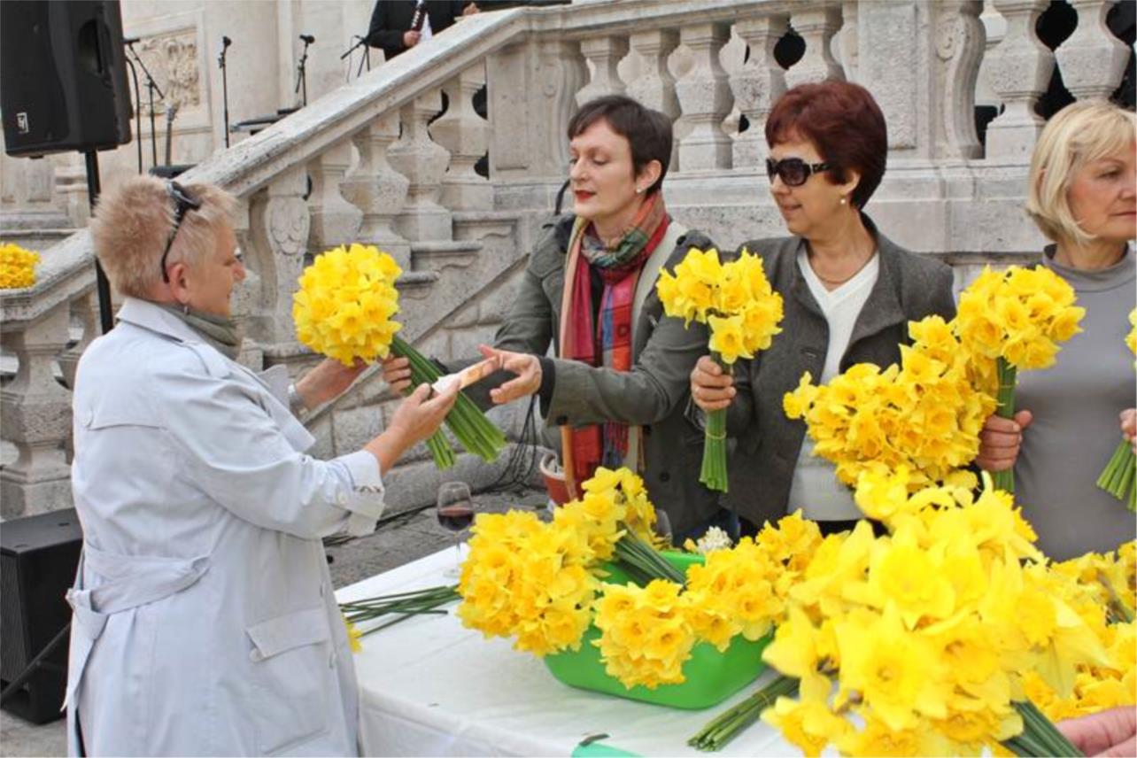 Stradun u znaku narcisa i kamenica 24032012