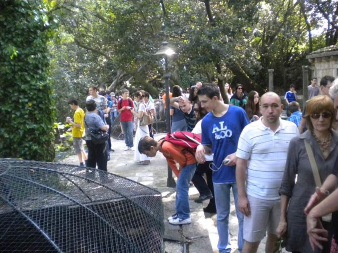 Državno natjecanje u povijesti i geografiji