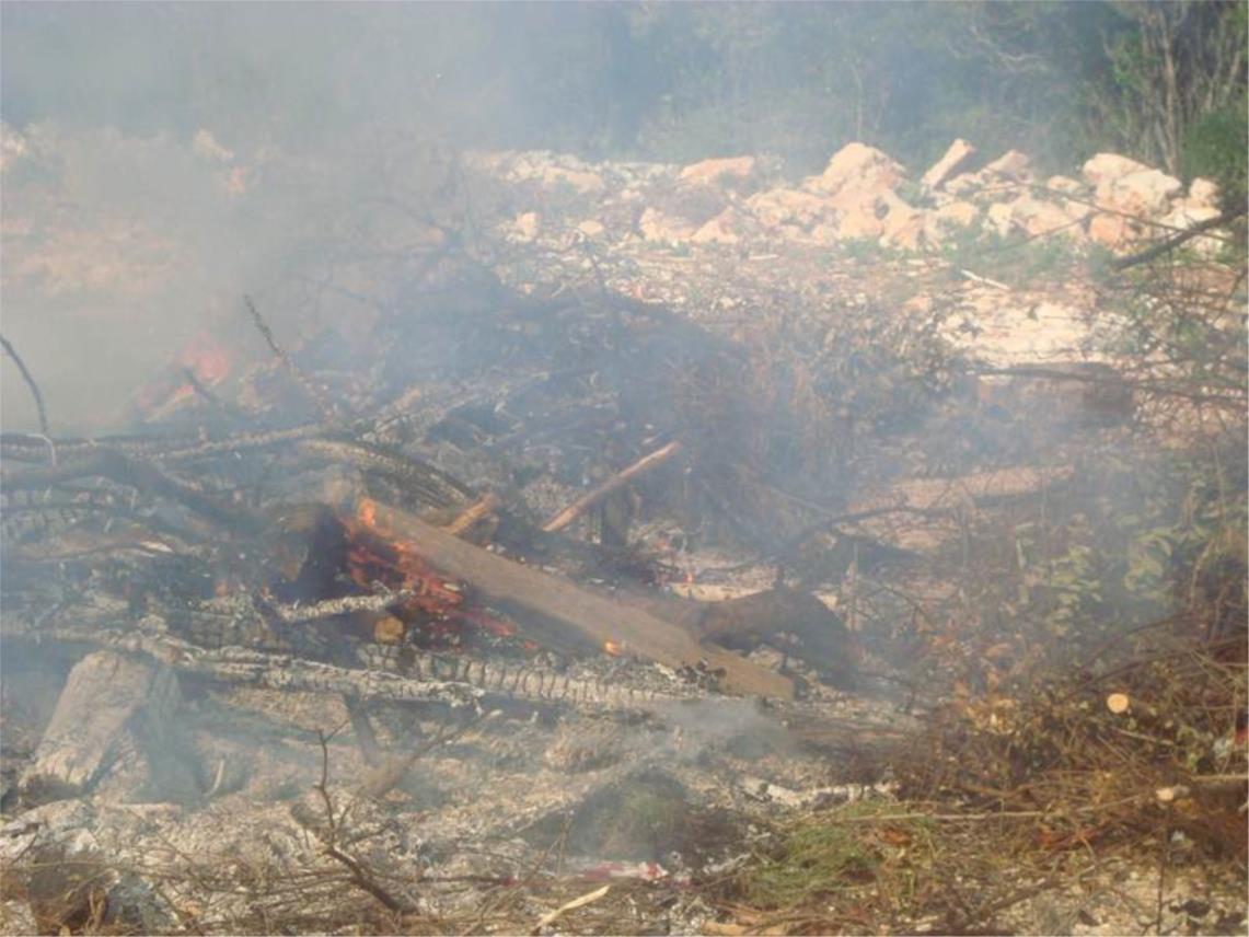 Babin kuk vatra svibanj