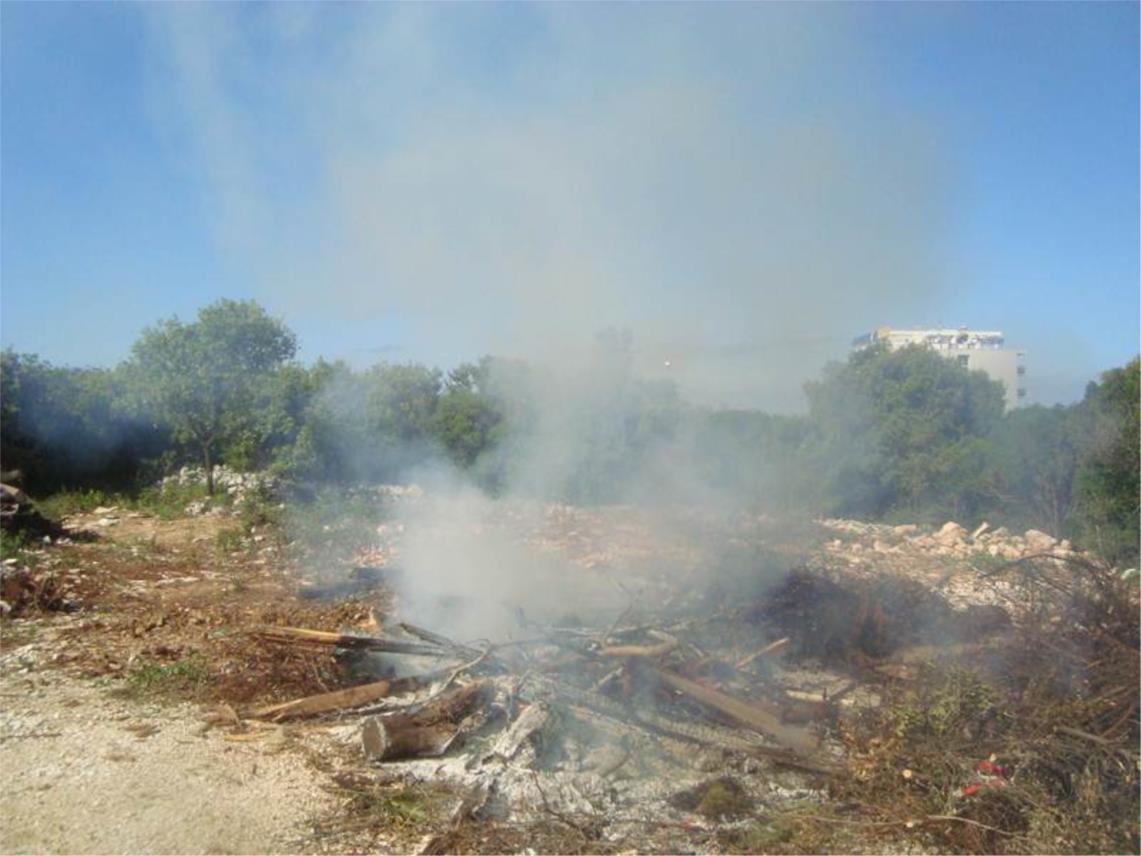 Babin kuk vatra svibanj