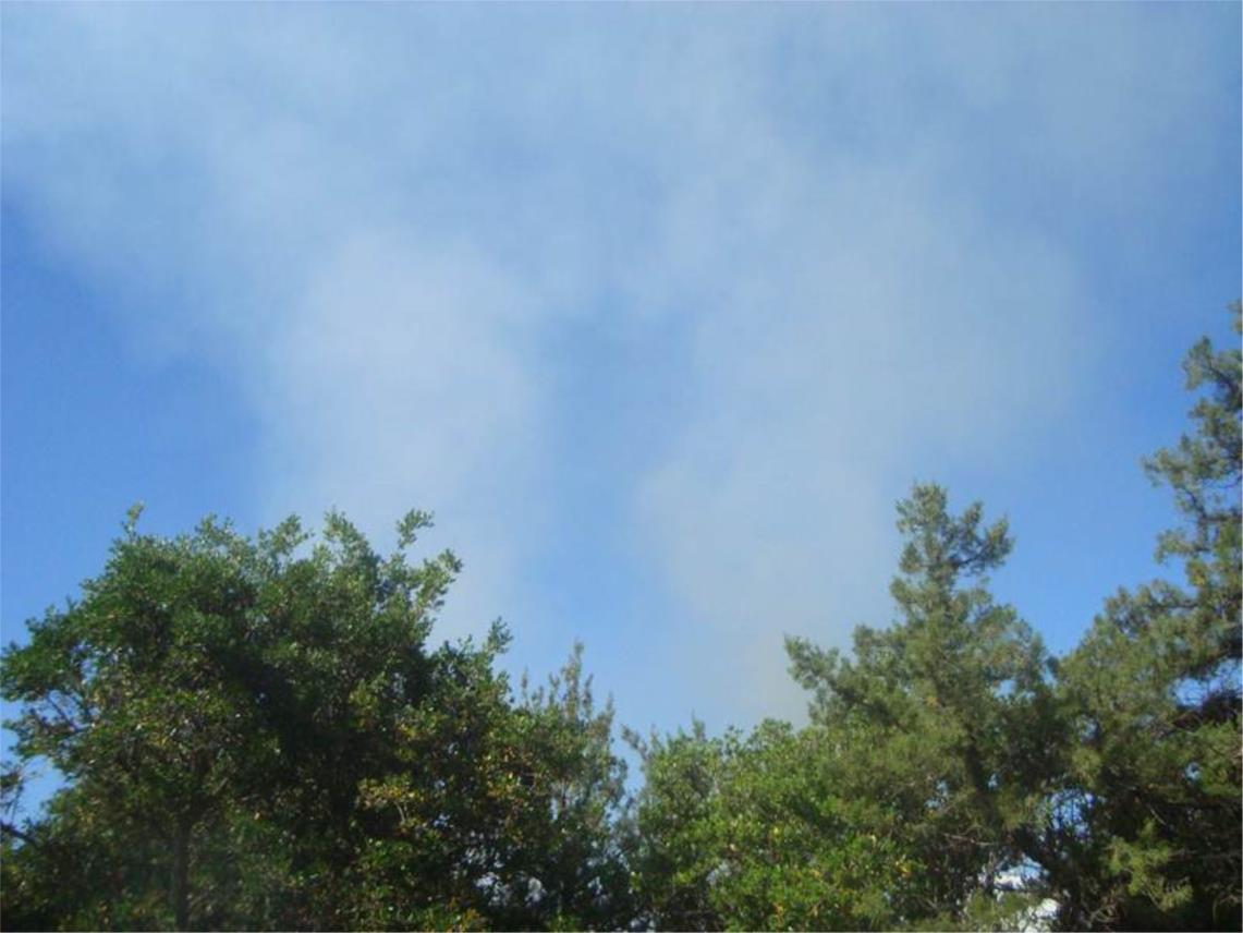 Babin kuk vatra svibanj