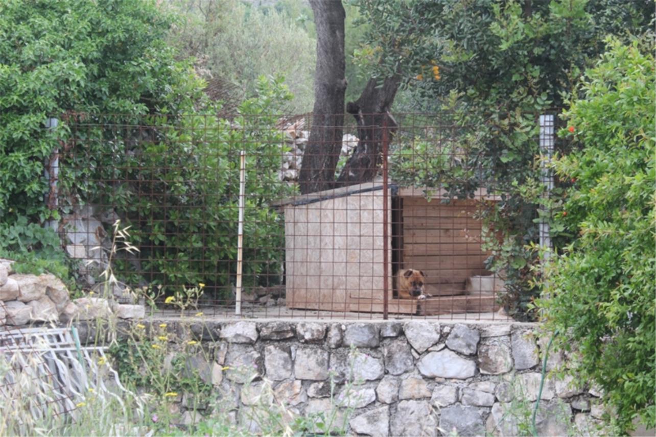 Ubojstvo u Banićima