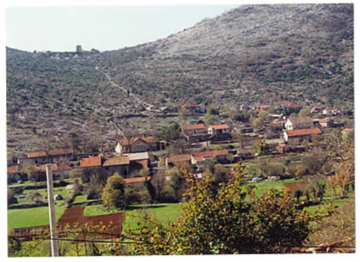 Hutovo_staro.jpg