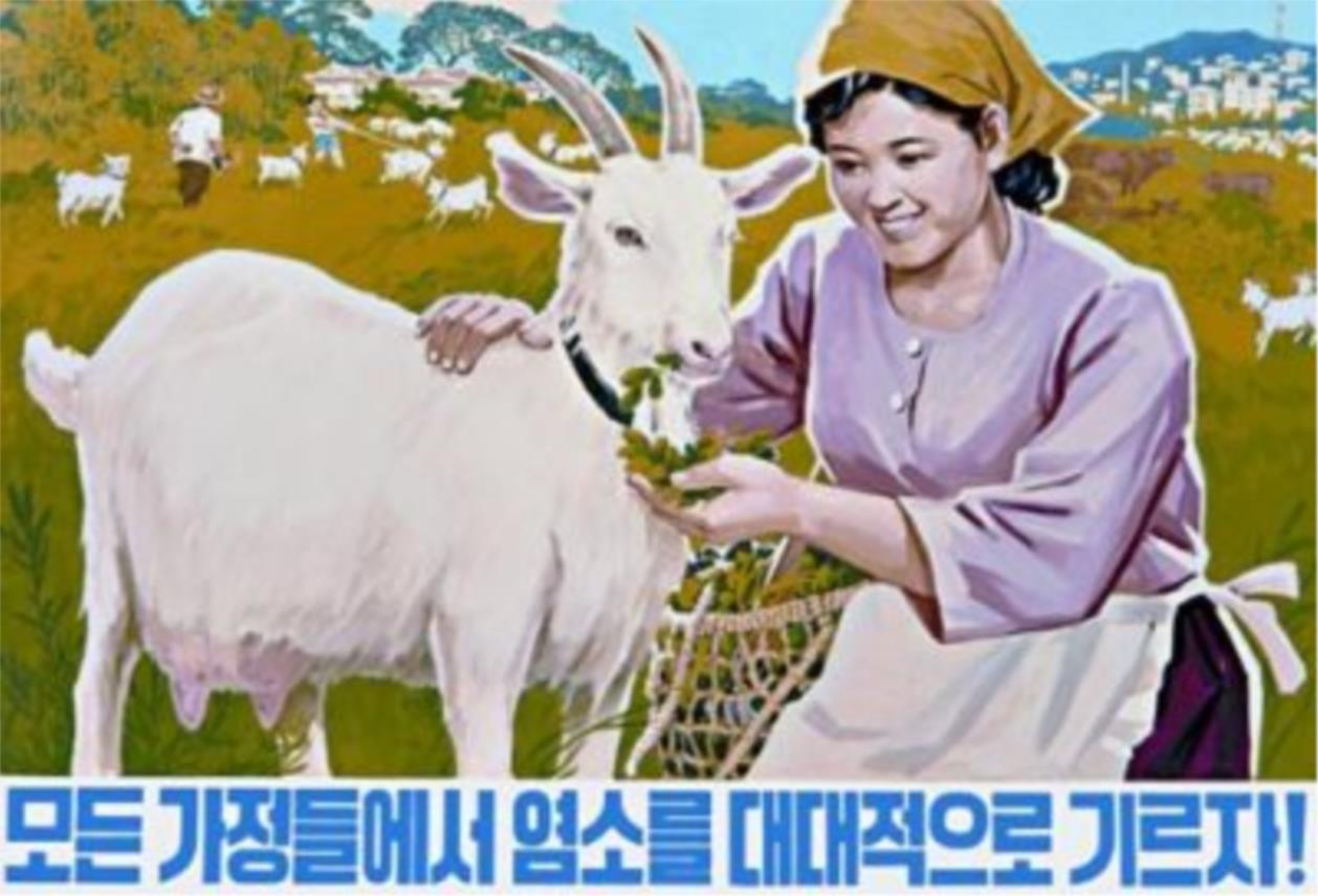 20101127173818ess_north_korean_39.jpg