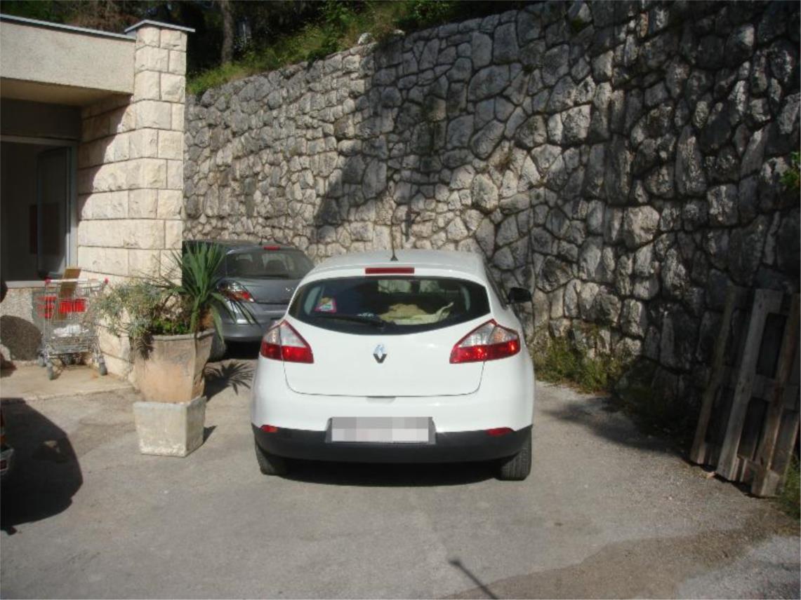 parking Vis