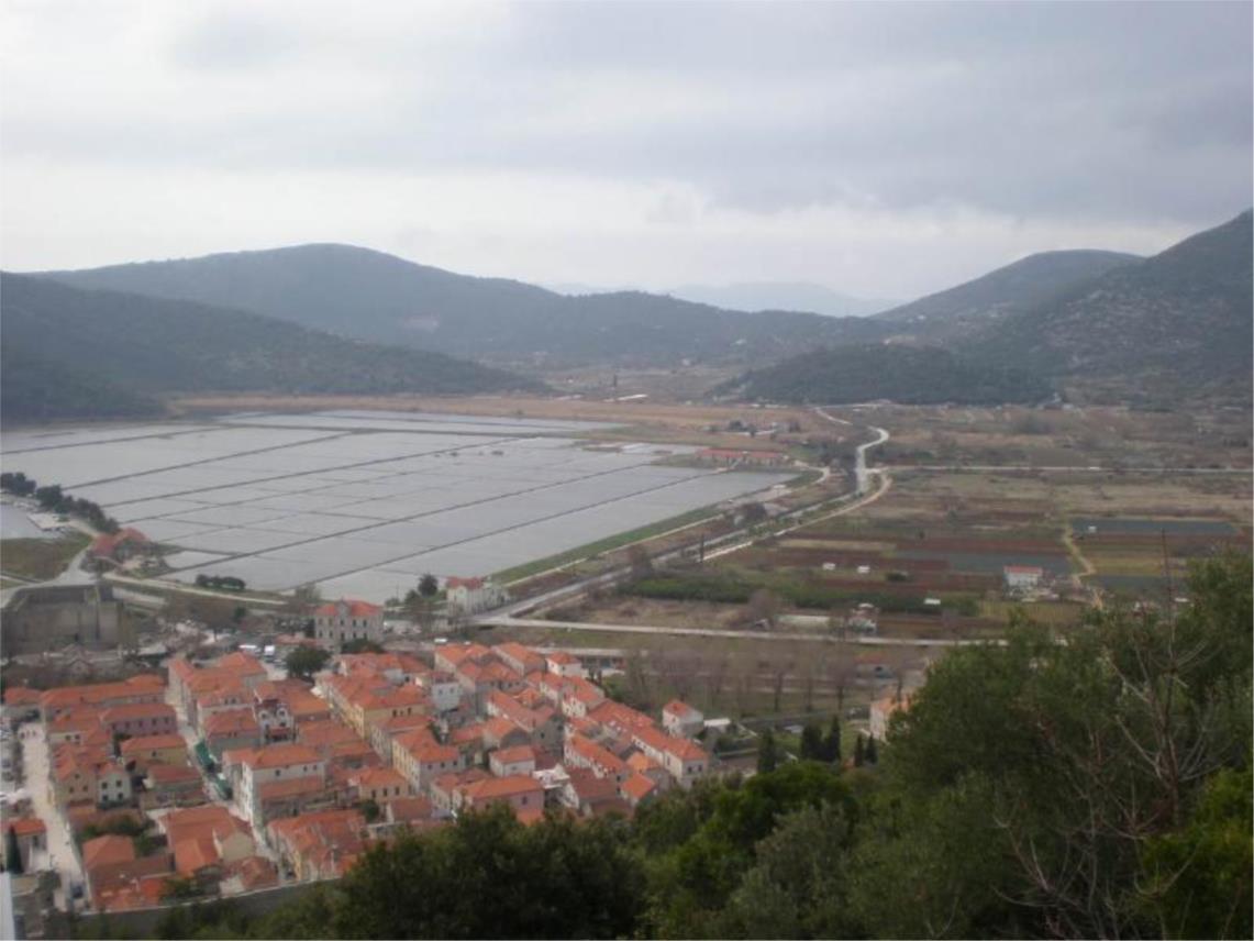 Stonsko polje