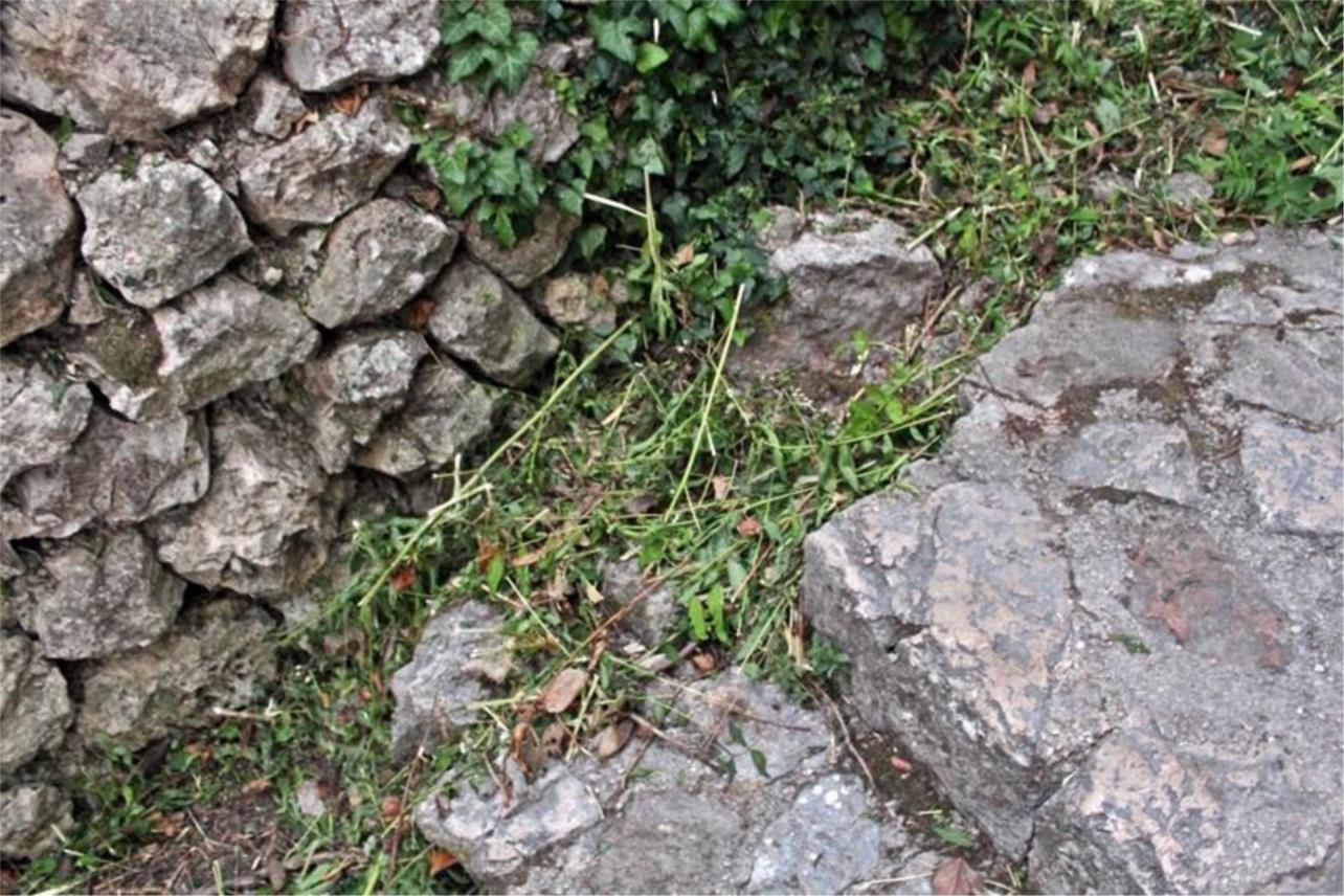 Očišćena Janjinska ulica 0