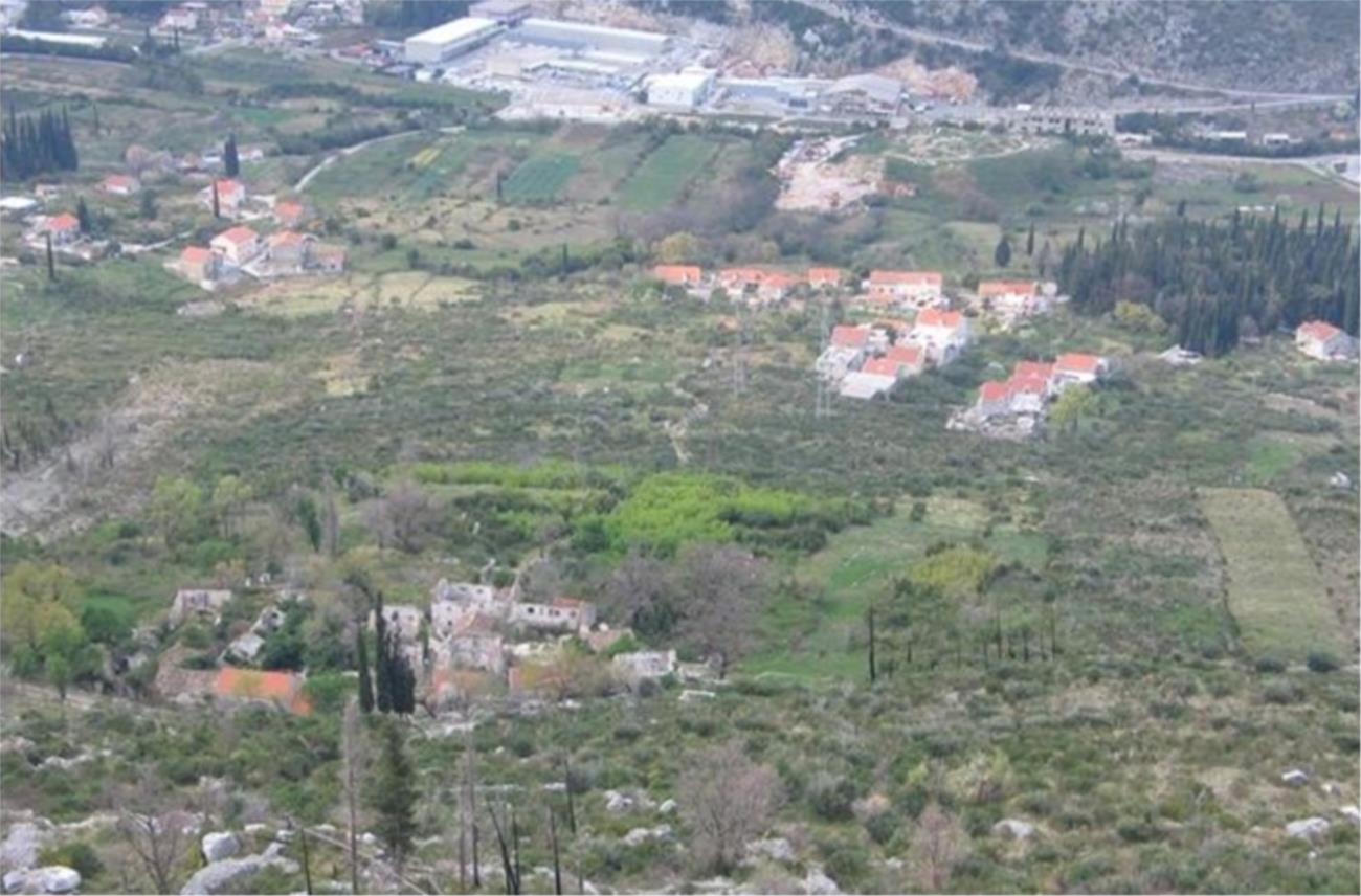 Čajkovica