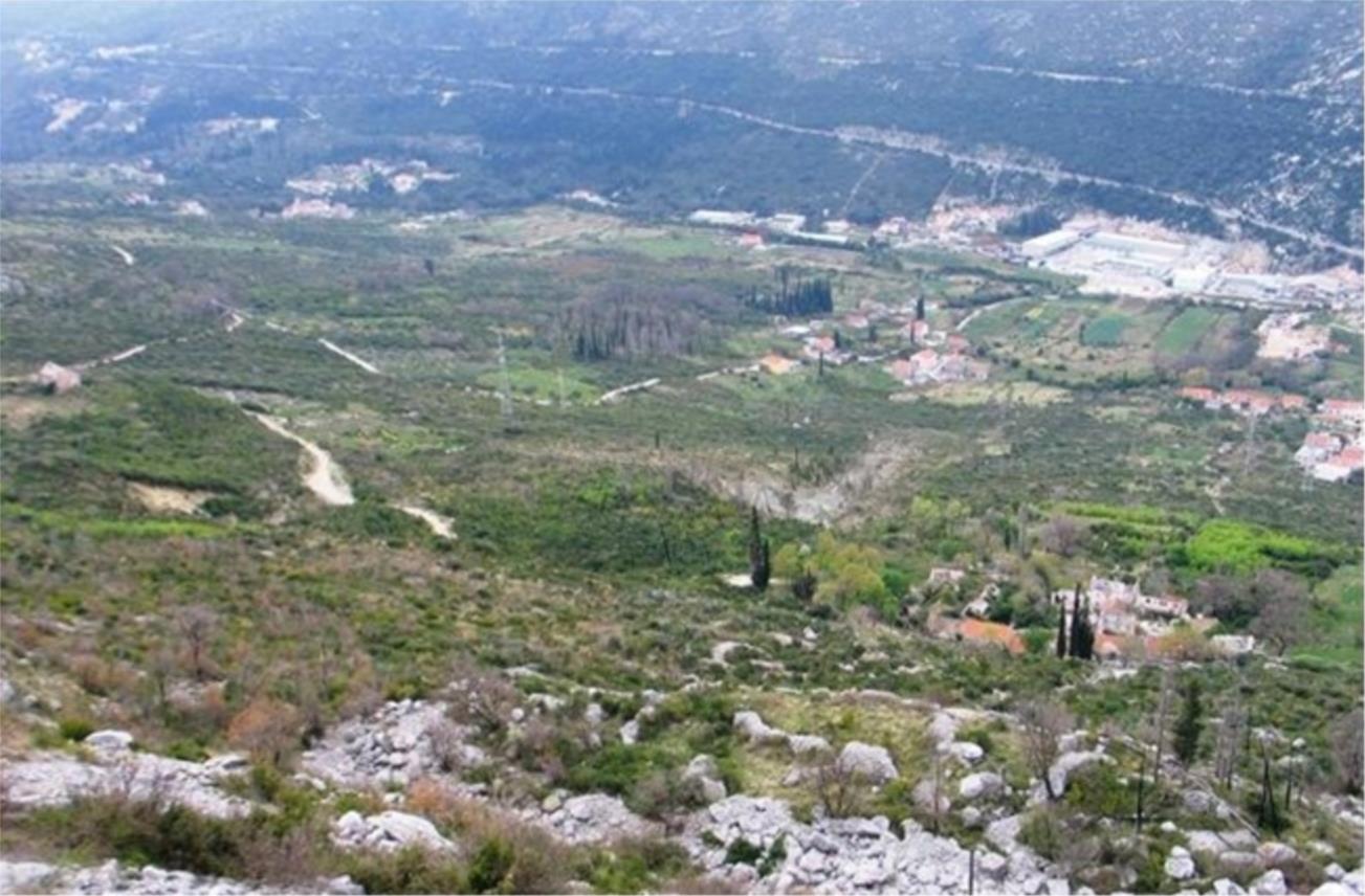 Čajkovica