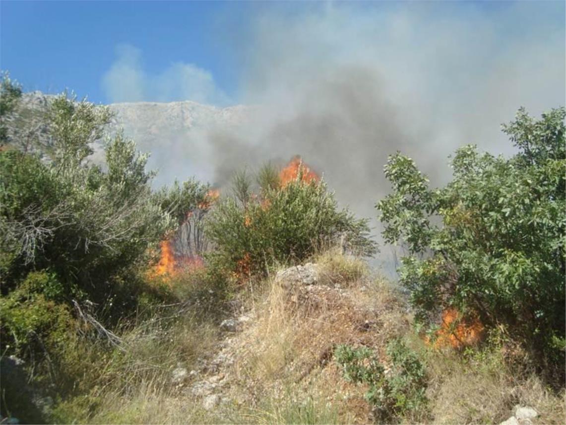 Požar Mokošica  0