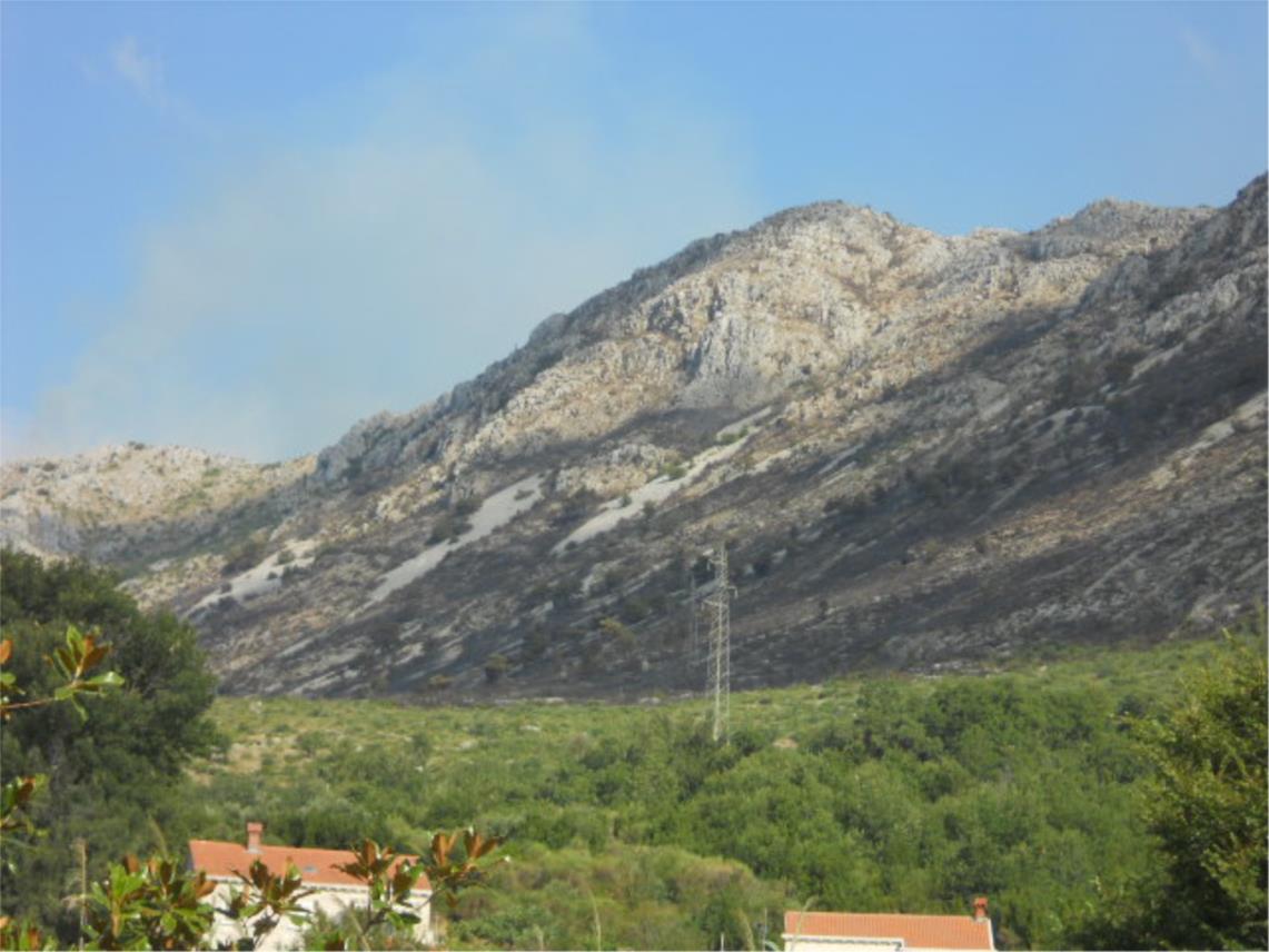 Pozar Mokosica