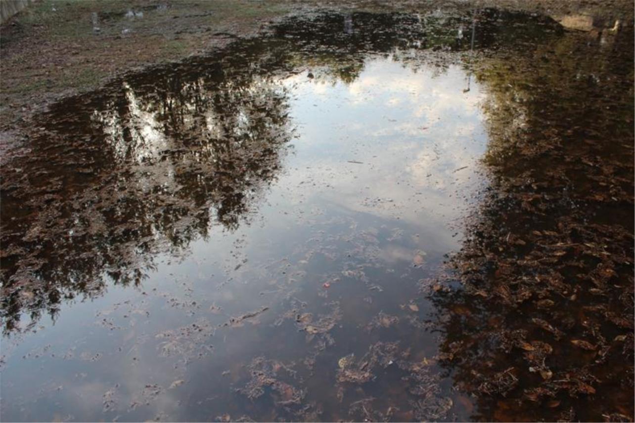 Dječji park Čokolino 0