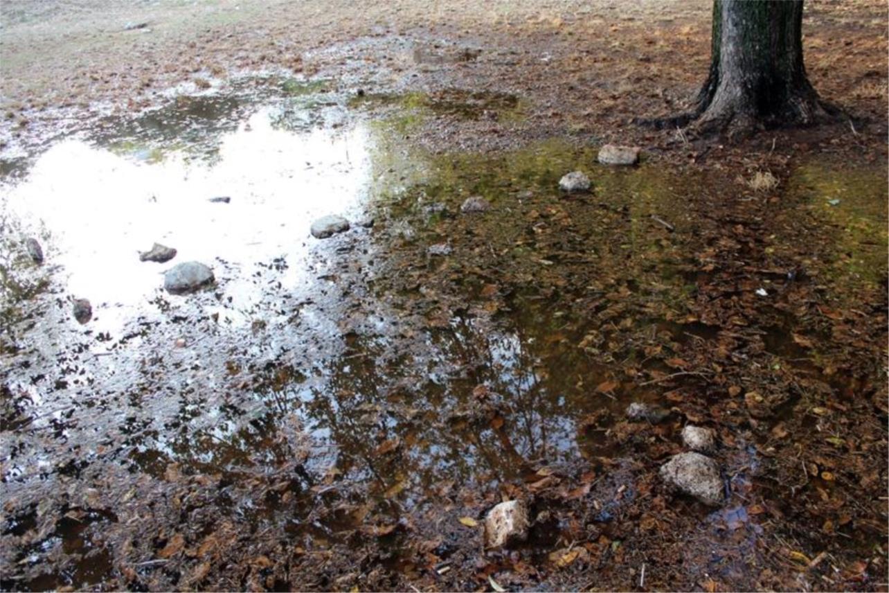 Dječji park Čokolino 0