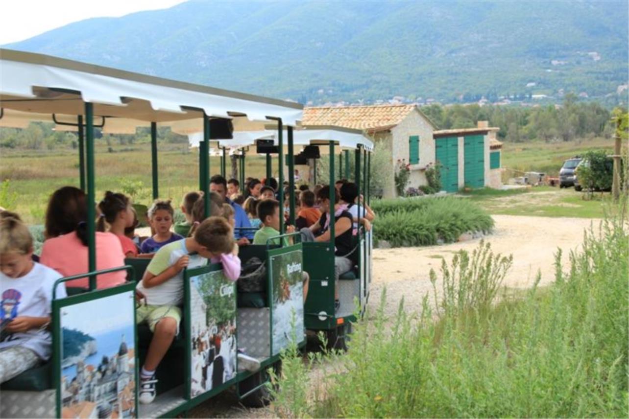 Djeca OS Cilipi i Gruda 0