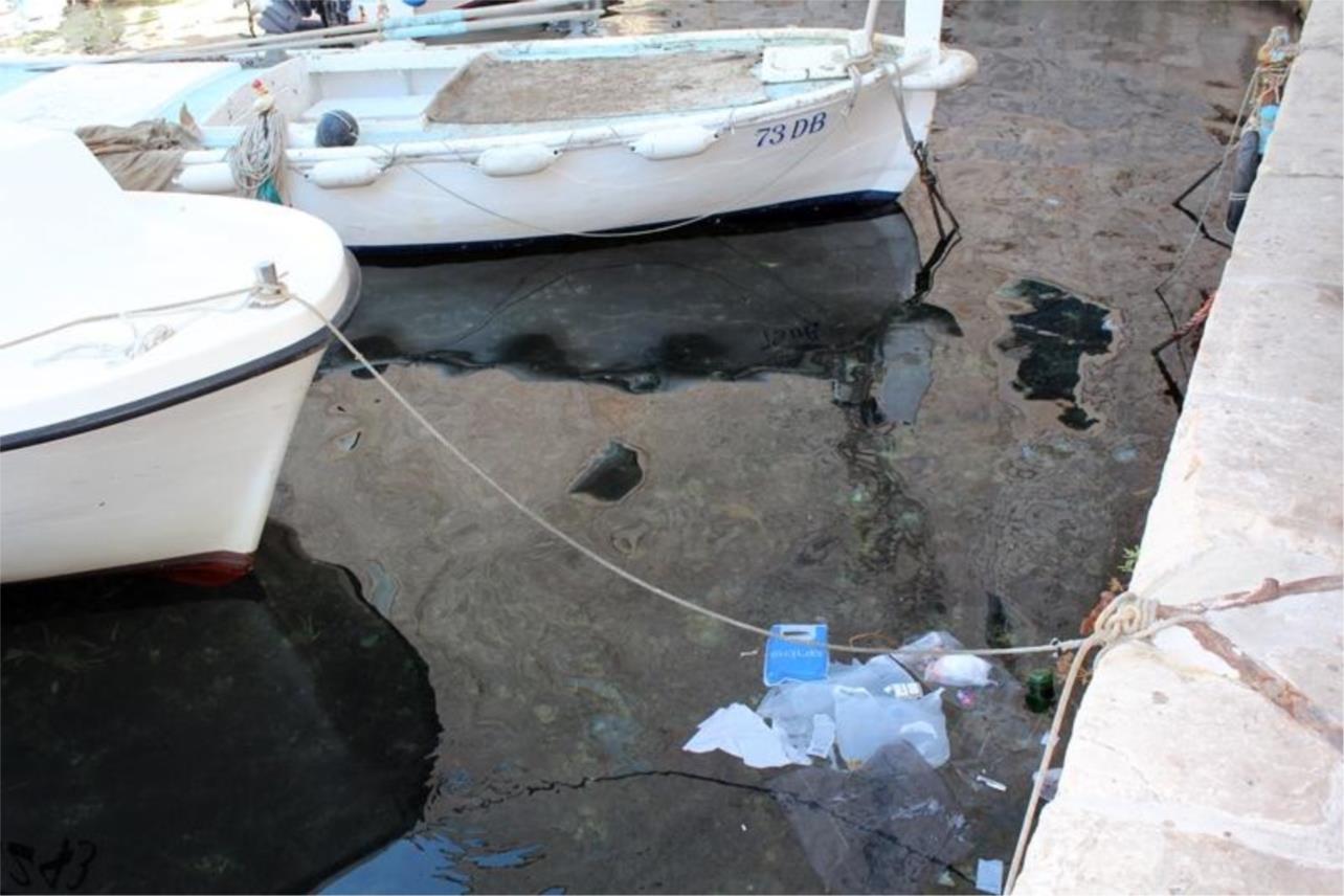 Dan neovisnosti, Dubrovnik 0