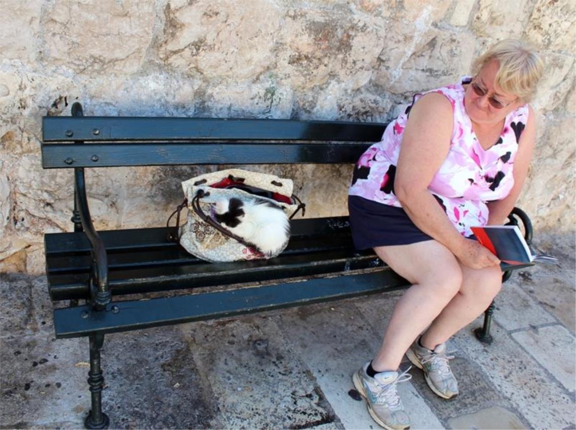 Dan neovisnosti, Dubrovnik 0