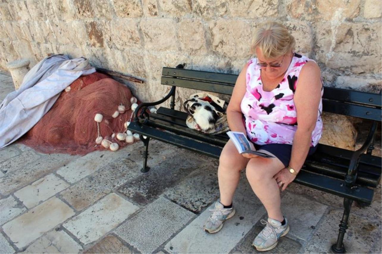 Dan neovisnosti, Dubrovnik 0