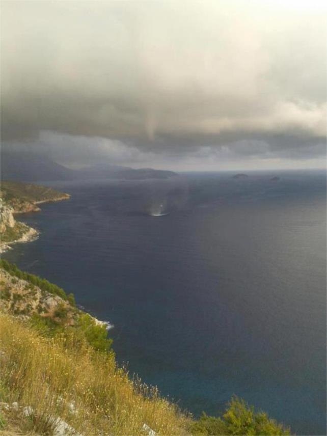 Pijavica Dubrovnik