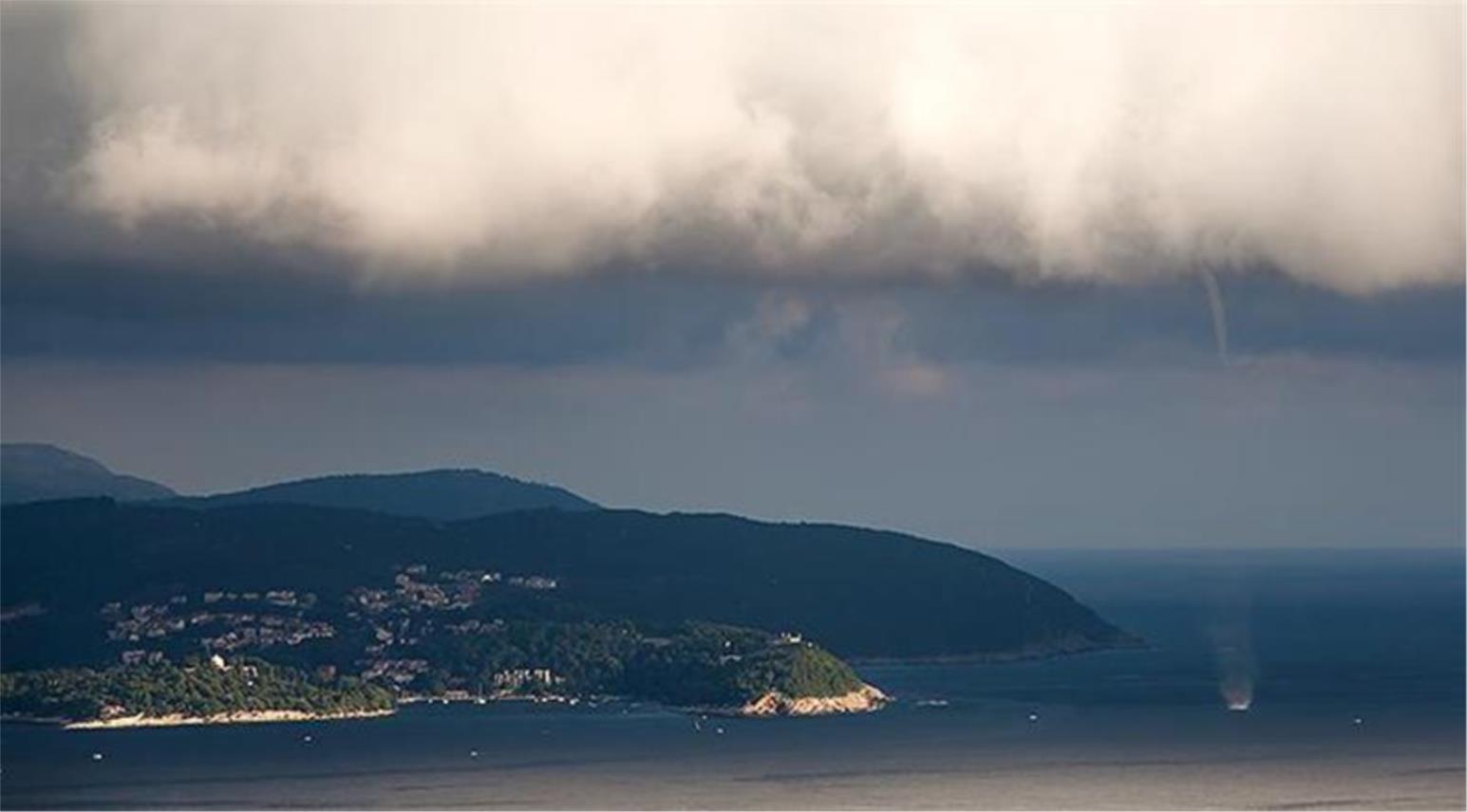 Pijavice Dubrovnik 0