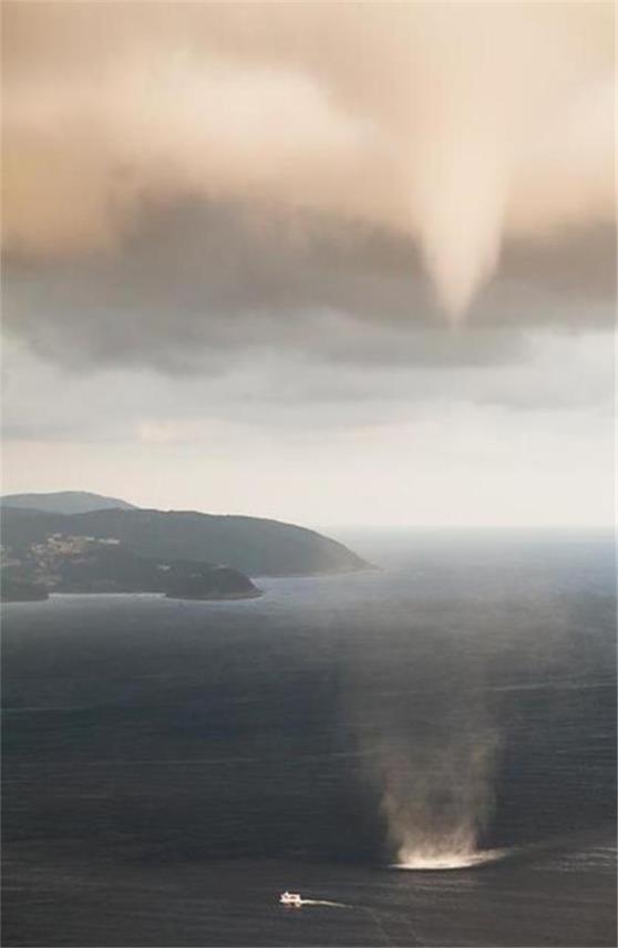 Pijavice Dubrovnik 0