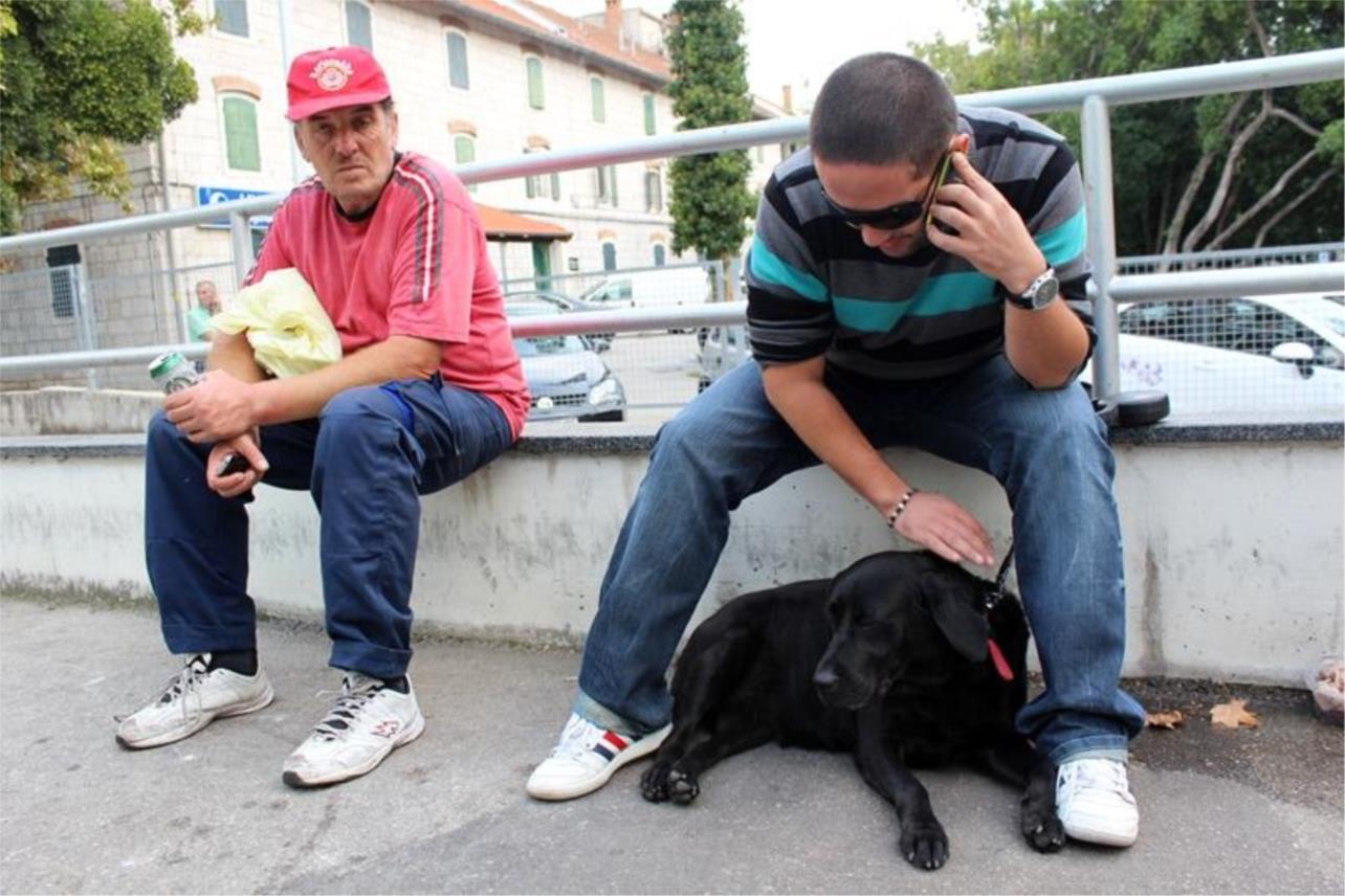 Labrador ispred Tommya 0
