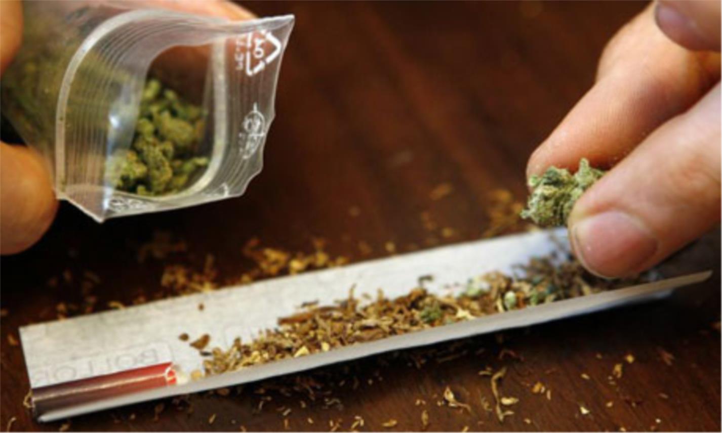 cannabis_velika__2.jpeg.jpg