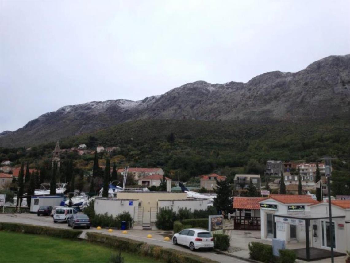 Mokosica snijeg